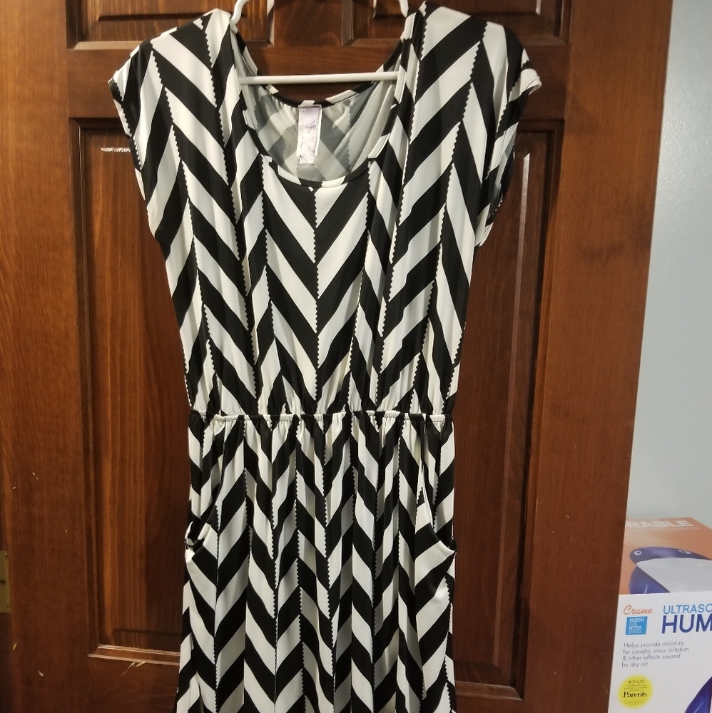 Spandex Dress